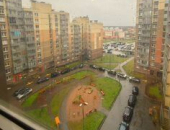  2    ,   431 -  ,   -